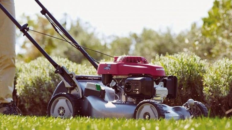 Honda Izy Hrg Sk Review An Incredibly Reliable Petrol Mower