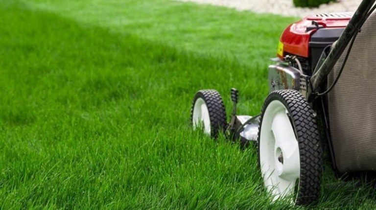 How to Lay Turf to Create a Beautiful Lawn: Start to Finish, Step-by-Step