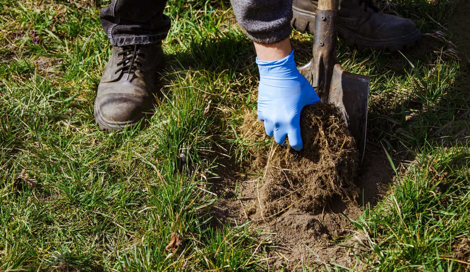 How to Remove Dead Grass From Lawn - 4 Methods to Try